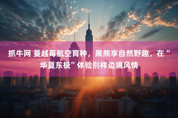 抓牛网 蔓越莓航空育种，黑熊享自然野趣，在“华夏东极”体验别样边境风情