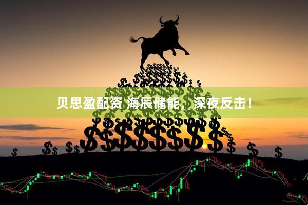 贝思盈配资 海辰储能，深夜反击！