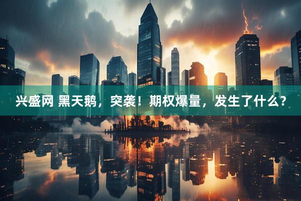 兴盛网 黑天鹅，突袭！期权爆量，发生了什么？