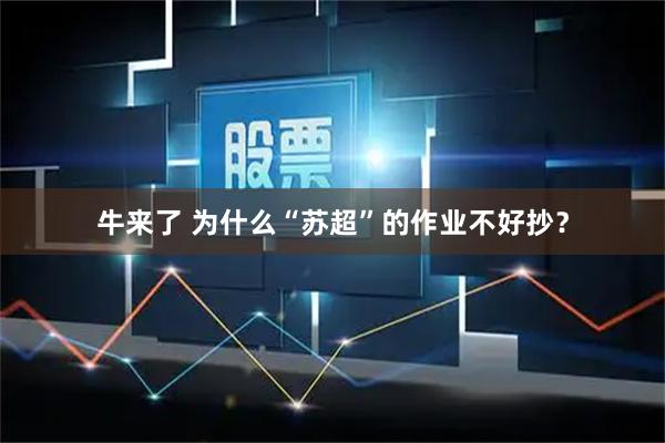 牛来了 为什么“苏超”的作业不好抄?