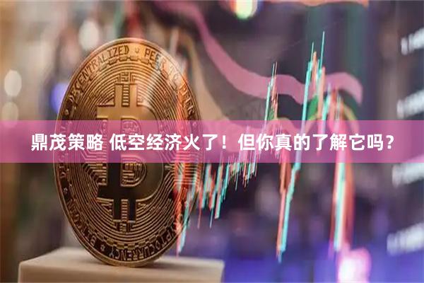 鼎茂策略 低空经济火了！但你真的了解它吗？