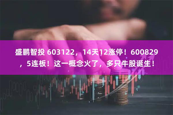 盛鹏智投 603122,14天12涨停!600829,5连板!这一概念火了,多只牛股诞生!