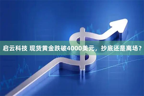 启云科技 现货黄金跌破4000美元，抄底还是离场？